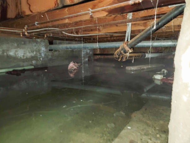 Best Water damage restoration near me  in Greenville, TX