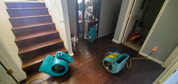 Best 24-hour water damage restoration  in Greenville, TX