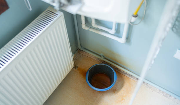 Best Local water damage restoration  in Greenville, TX