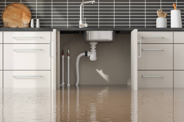 Best 24-hour water damage restoration  in Greenville, TX