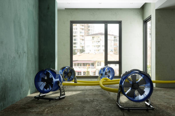 Best Water damage restoration mold remediation  in Greenville, TX